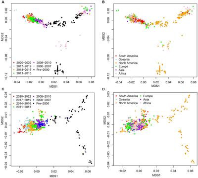 Comparative analysis of human respiratory syncytial virus evolutionary patterns during the COVID-19 pandemic and pre-pandemic periods